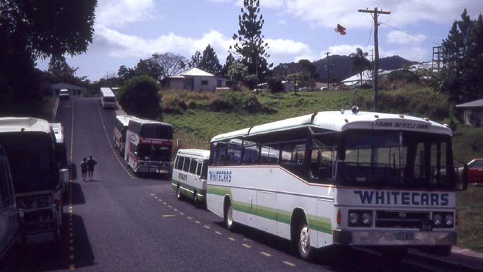 Whitecar Albion Viking VK43 Athol Hedges 25 at Karunda